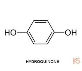 Hydroquinone (Para-Dihydroxybenzene; 1,4-Dihydroxybenzene) CAS No. 123-31-9